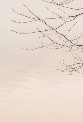 Rutter Requiem 2025 Header