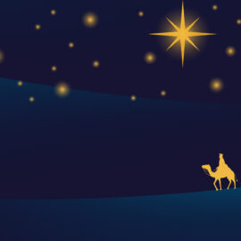 WO DomMusik 2024 Header